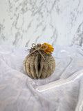 Yellow Rose Book Page Pumpkin